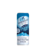 Acqua San Benedetto Frizzante cl 33 Lattina Sparkling