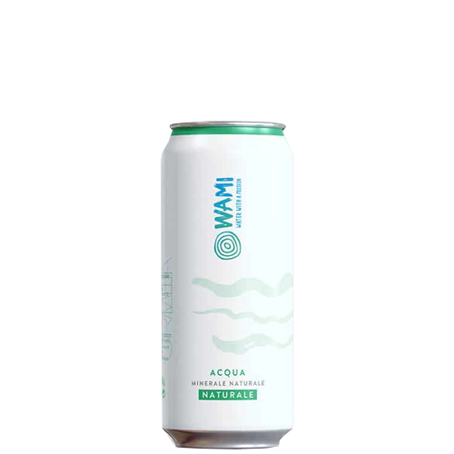 Acqua Wami Naturale cl 44 Lattina