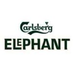Birra Fusto Carlsberg Elephant lt 20 MODULAR draught master