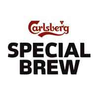 Birra Fusto Special Brew lt 20 MODULAR draught master