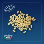 Pasta Poiatti Semi di Pomo kg 1 nr 19