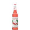 Sciroppo Monin anguria cl 70