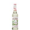Sciroppo Monin zenzero cl 70