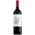 Vino S. Anastasia I Sensi Syrah Il Tatto Doc Bio cl 75 2019